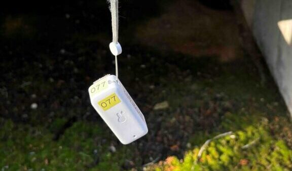 地域ケア「避難所指定施設における温度変化の計測と啓発活動（５）」を報告します