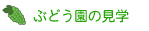 ぶどう園の見学