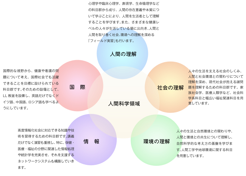 人間科学領域