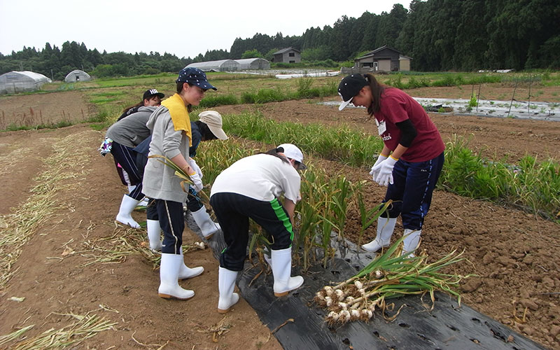 民泊型フィールド実習