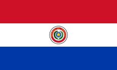 パラグアイ国旗（裏面）