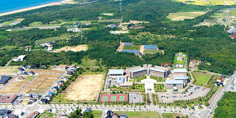 大学案内
