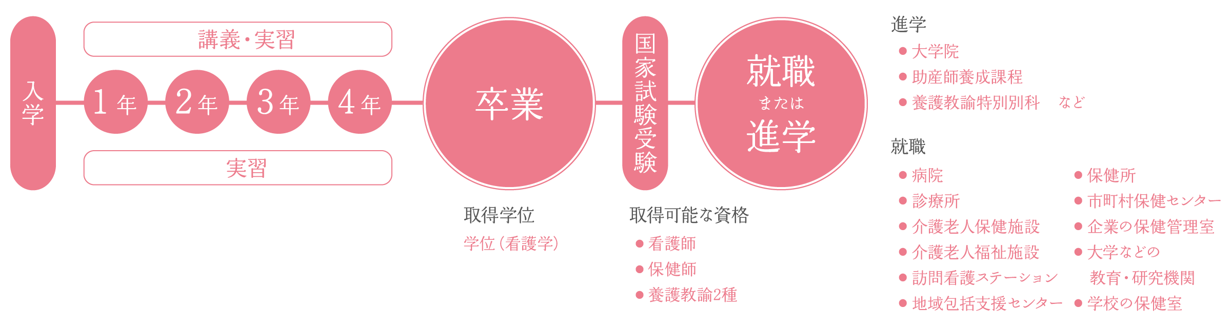 看護学部の概要
